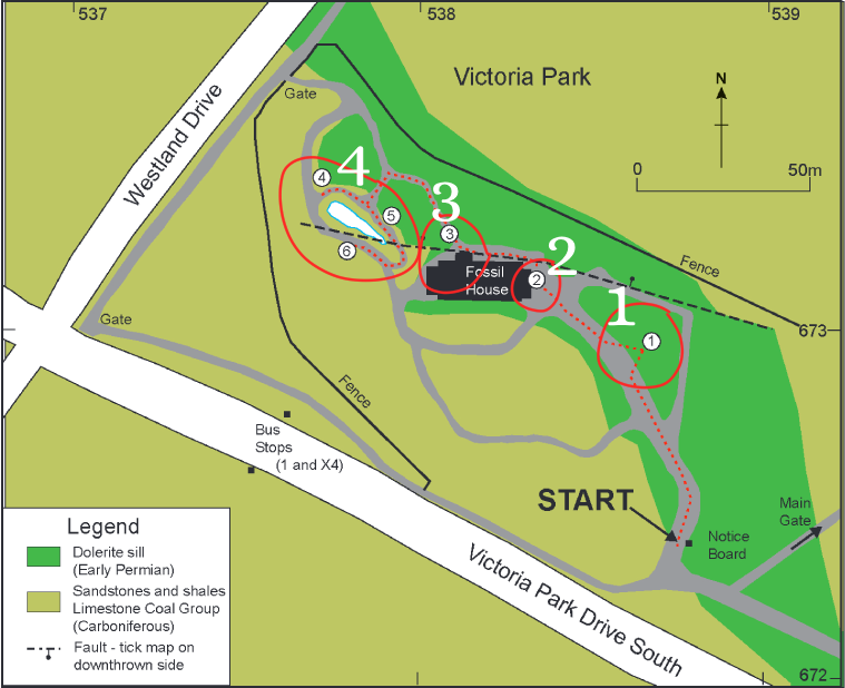 Fossil Grove Map Image